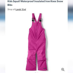 BNIB BERRY color Lands End Iron Knee Squall Waterproof Snowpants